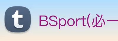 BSport(必一·运动)官方网站 - Ultra Platform logo